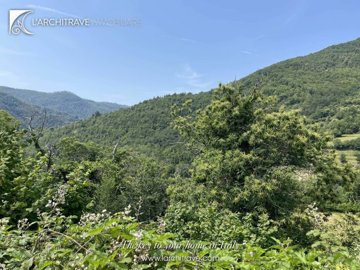 7cd55635-771b-ff33-c293-91dfd23a0e65