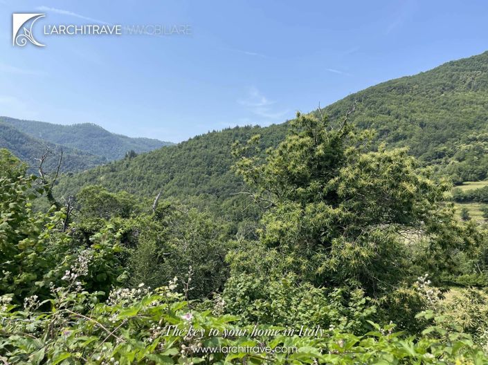 Image No.11-1 Bed House for sale