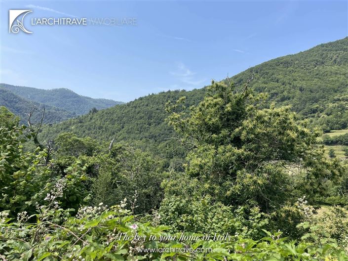 Image No.11-1 Bed House for sale