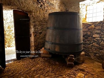 15e806c6-84df-3f4a-39b8-869e6ee94e1c