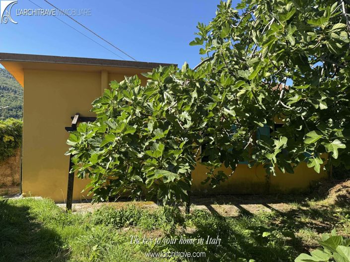 Image No.12-2 Bed House for sale