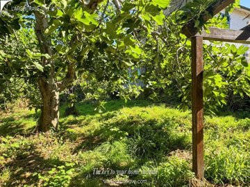 b0c36d89-020d-dbeb-86d1-8401e2f911c8