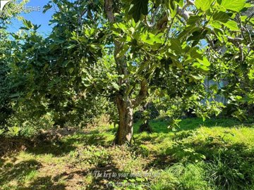 b09544e1-ce68-e516-cf85-7a7a557f6902