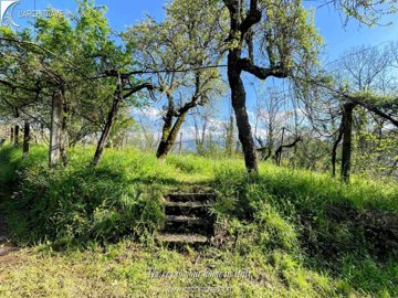 d698a64b-d124-9dbe-e66d-6a8fb4b347cc