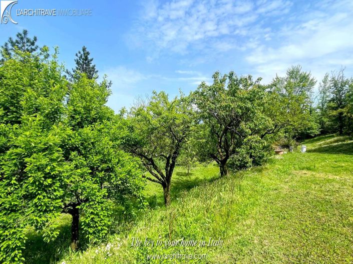 Image No.6-3 Bed Villa for sale