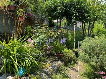 46614182-806e-b04b-966a-8ab3befca472