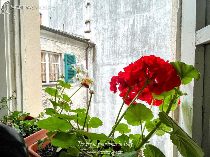 Image No.20-3 Bed House for sale