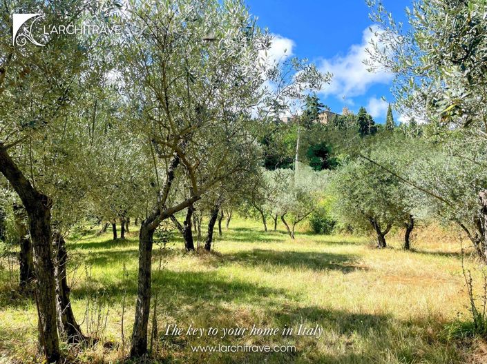 Image No.28-3 Bed House for sale