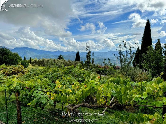 Image No.19-2 Bed Villa for sale