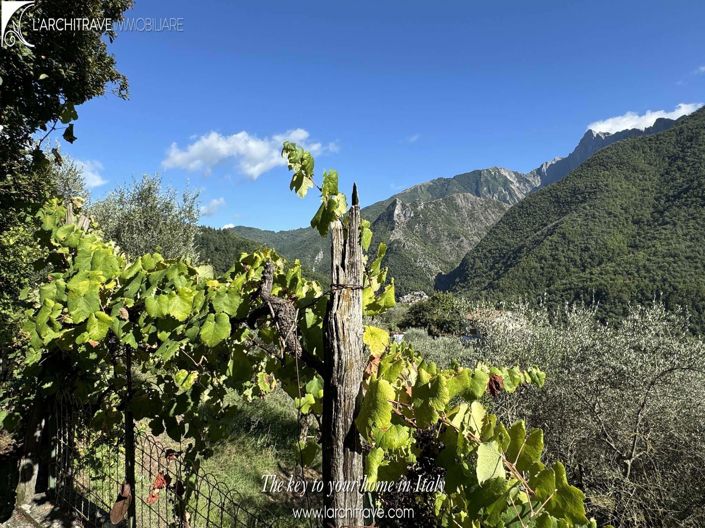 Image No.25-Maison de 3 chambres à vendre à Fivizzano