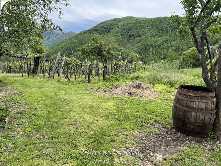 Image No.21-3 Bed House for sale