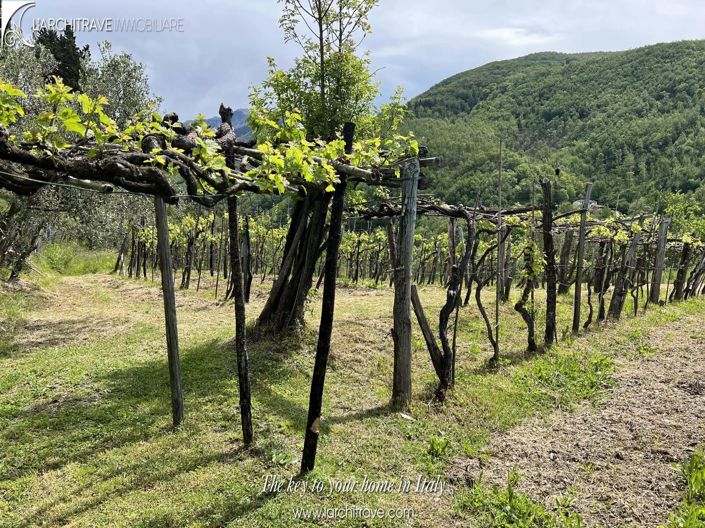 Image No.7-Maison de 3 chambres à vendre à Fivizzano