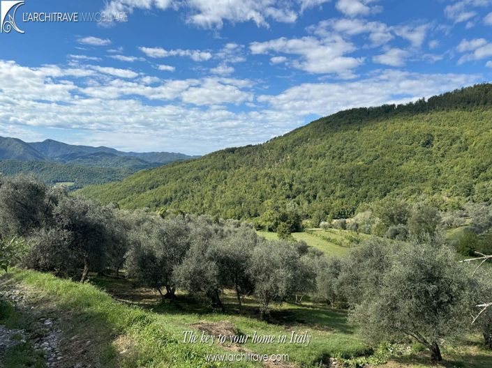 Image No.3-7 Bed Villa for sale