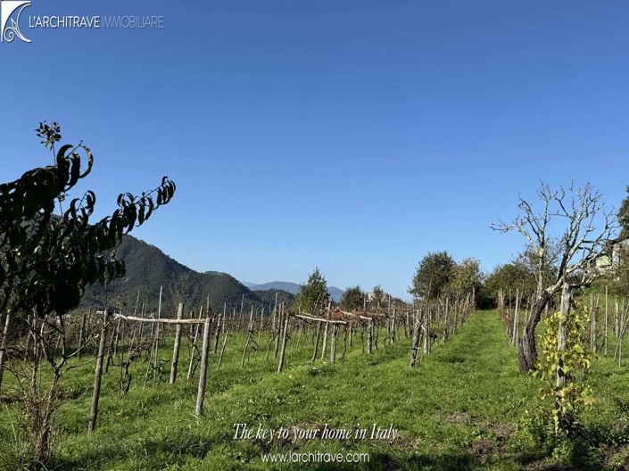 Image No.2-4 Bed Villa for sale