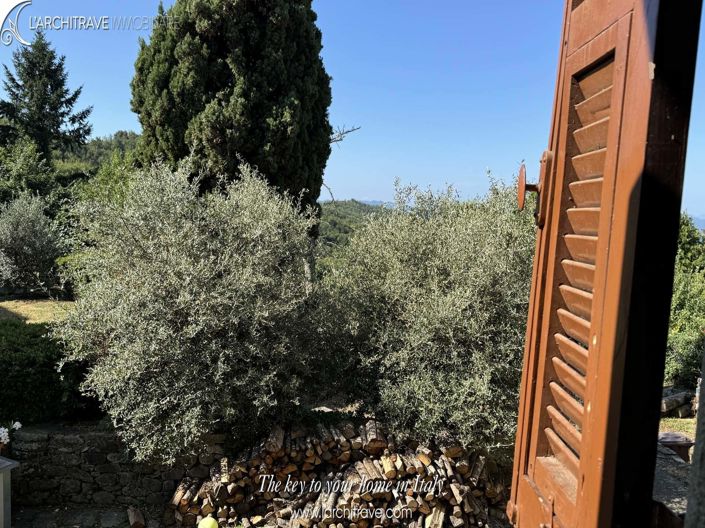 Image No.13-3 Bed House for sale