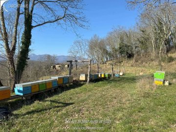 4a243f68-56e7-c19d-2904-7dd7bb8f8dce