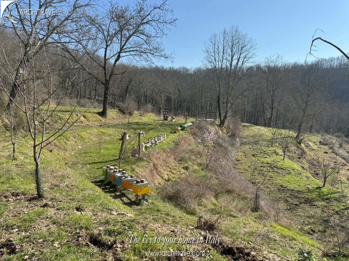 Image No.7-3 Bed House for sale