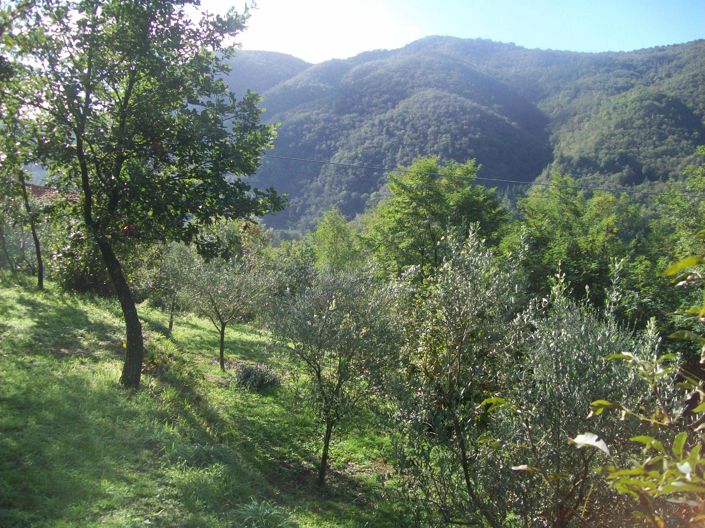 Image No.30-Villa de 4 chambres à vendre à Tresana