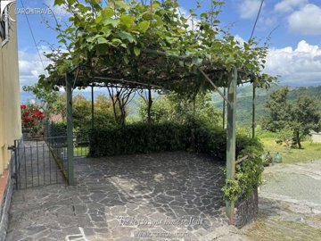 bf334035-4f46-ee56-4f6f-074d3dd441f4