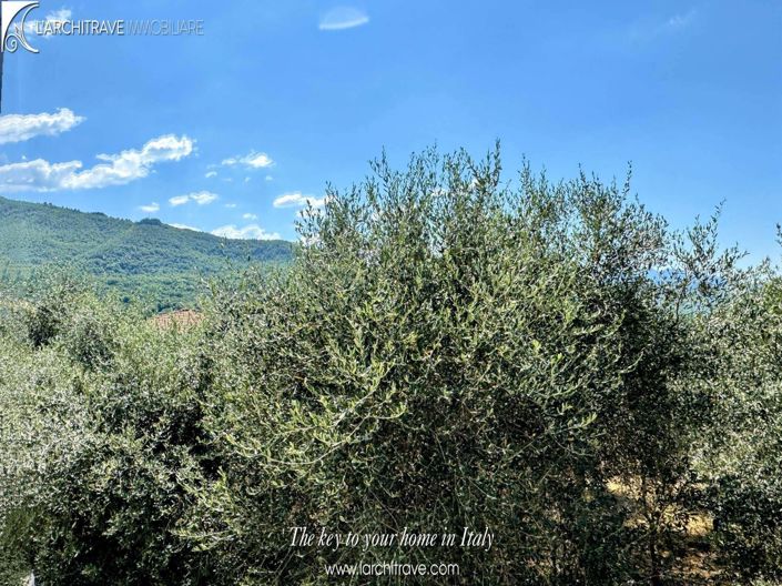 Image No.21-3 Bed House for sale