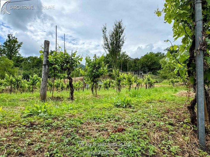 Image No.15-3 Bed House for sale