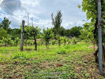 bd49eef9-81d4-a08d-5be5-d454044d0db0