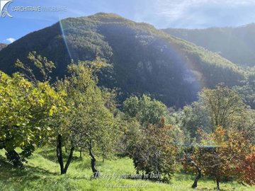 a69277a8-d31f-84ff-3d8d-c0c8aefa16d2