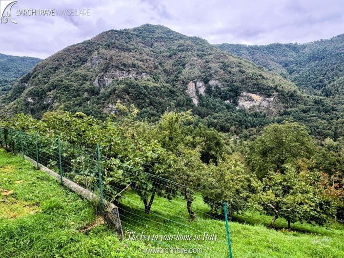 Image No.23-3 Bed Villa for sale