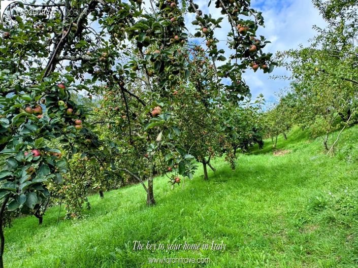 Image No.25-3 Bed Villa for sale