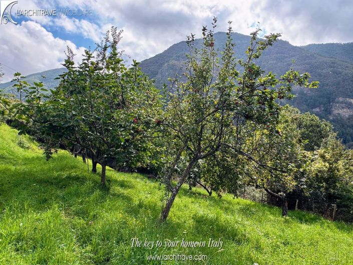 Image No.26-3 Bed Villa for sale