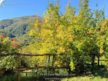 80da374c-db50-2453-0368-f4a5316526ed