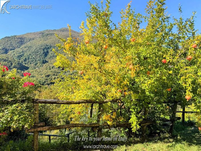 Image No.14-5 Bed House for sale