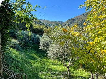 b2e990d0-5819-ee93-96af-d0ef2936d4f5