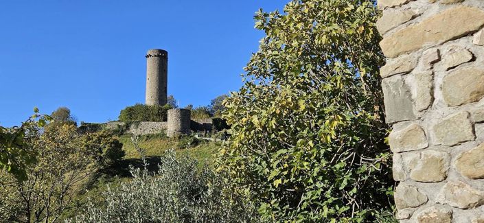 Image No.14-Villa de 3 chambres à vendre à Comano