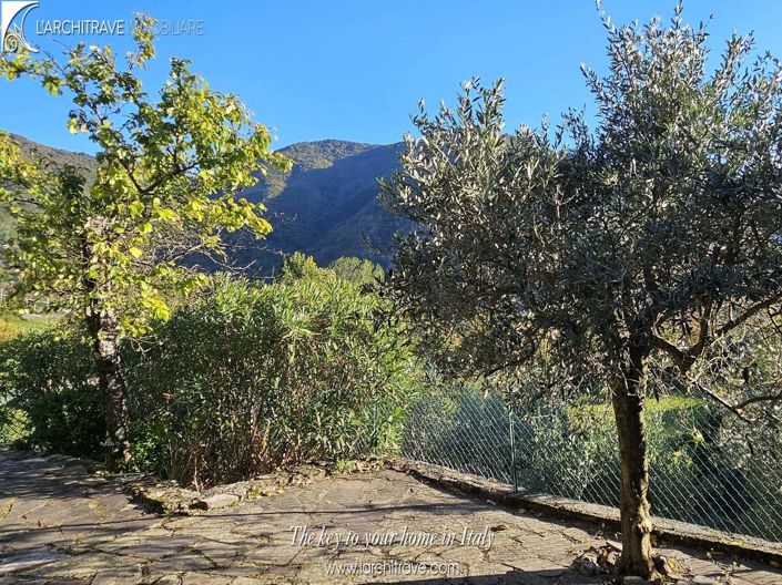 Image No.15-3 Bed Villa for sale