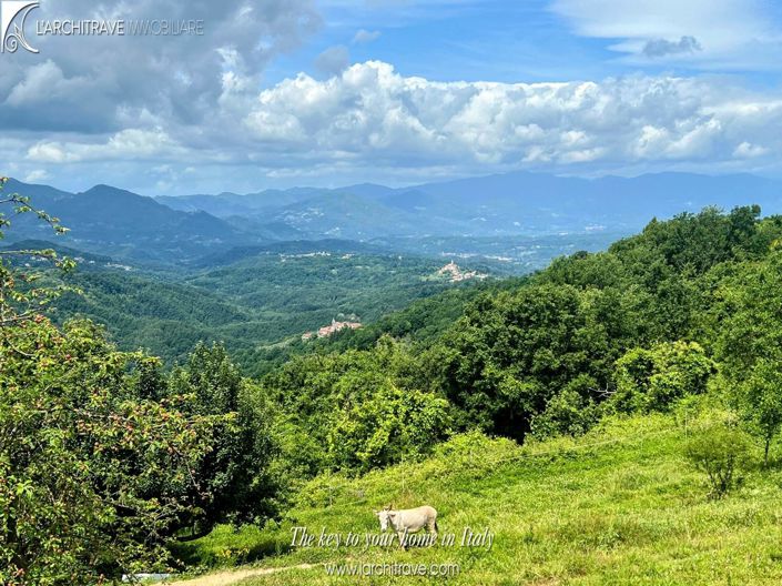 Image No.10-Maison de 5 chambres à vendre à Fivizzano
