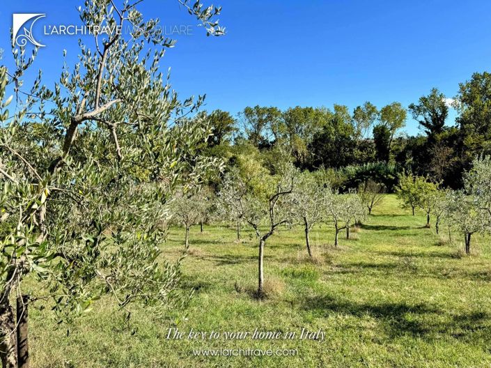 Image No.29-Villa de 3 chambres à vendre à Chianni