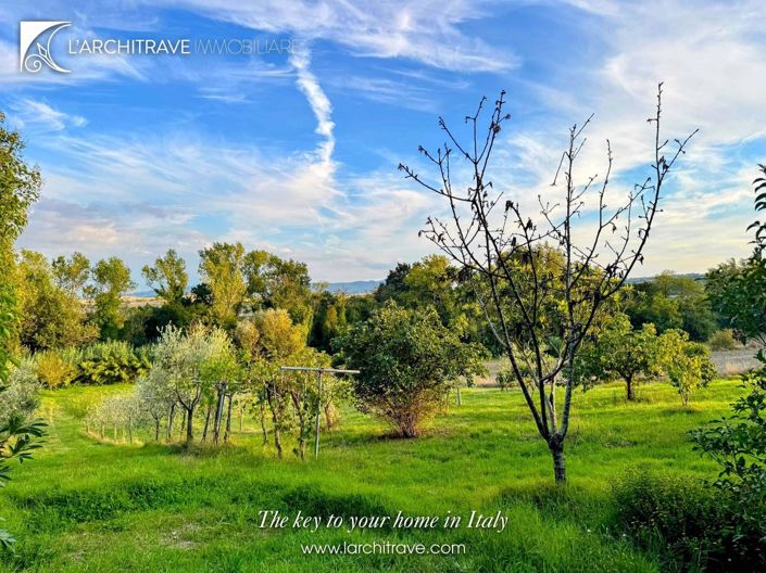 Image No.5-3 Bed Villa for sale