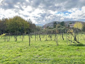 ef62eaee-5104-0bd7-96ad-f493e8b4f82a