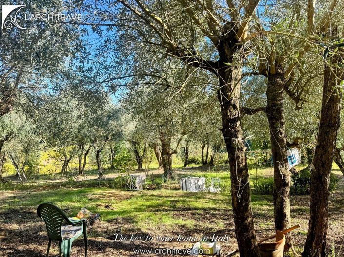 Image No.35-Maison de 3 chambres à vendre à Terricciola