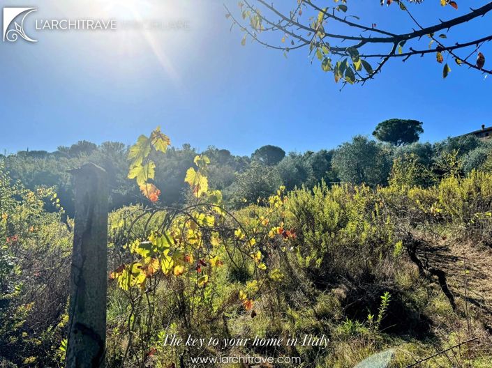 Image No.36-3 Bed House for sale