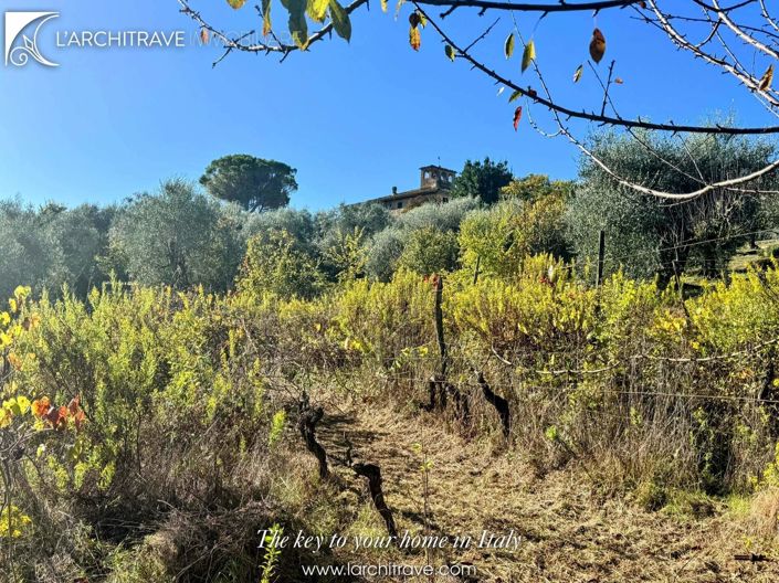 Image No.37-Maison de 3 chambres à vendre à Terricciola