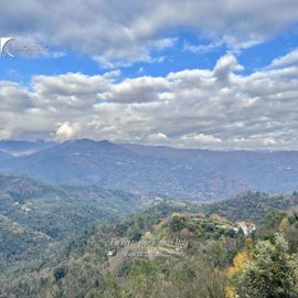 587e1568-bc75-aa38-76aa-4bdedd85be04