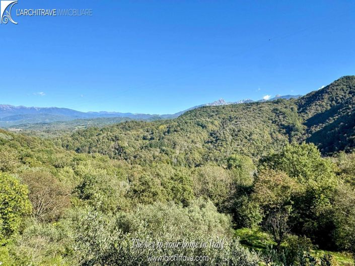 Image No.16-4 Bed House for sale