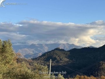 6d3651d6-a2b4-a6e5-0209-25bd08b72681