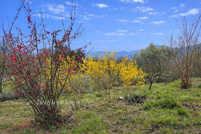 Image No.17-Villa de 5 chambres à vendre à Tresana