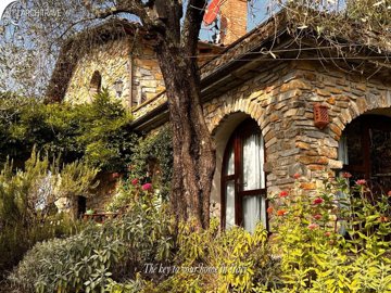 8b130eef-ab10-8421-6d79-83bb3c931a75