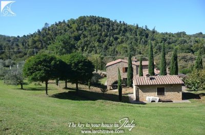 PODERE REALE 2.jpg