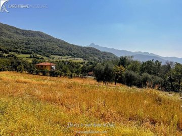 IMG_0789.jpg