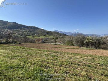 IMG_0487.jpg